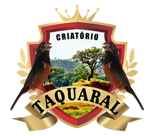 logotipo